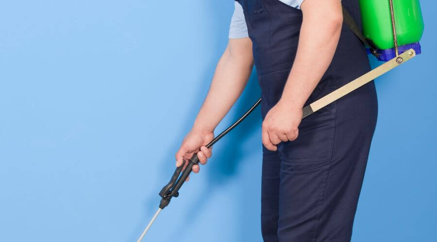 Why choose Spider Extermination Downtown Phoenix for spider extermination in Downtown Phoenix